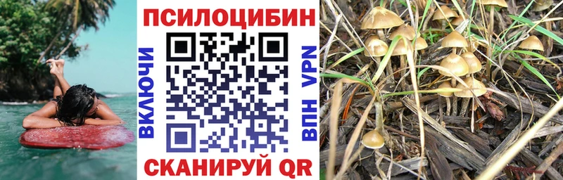 Псилоцибиновые грибы мицелий Партизанск