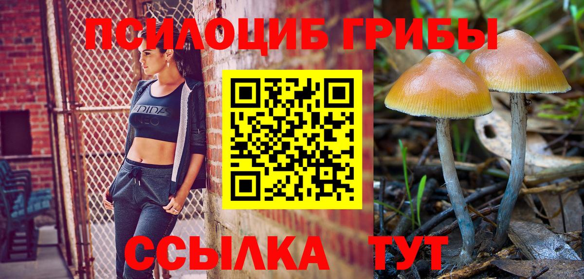 Партизанск  Псилоцибиновые грибы GOLDEN TEACHER  Вход с VPN 