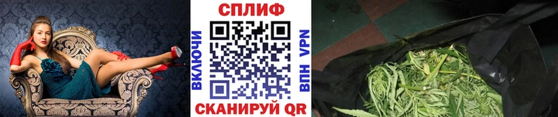 Бошки Шишки MAZAR Партизанск